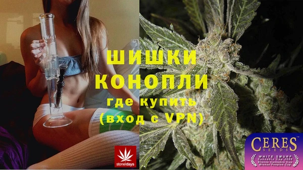 дживик Осинники