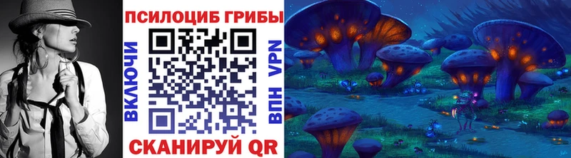 блэк спрут рабочий сайт  Княгинино  Галлюциногенные грибы Cubensis 